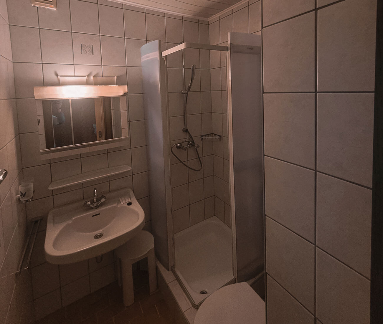 Badezimmer mit Dusche im brandgut in Viehhofen