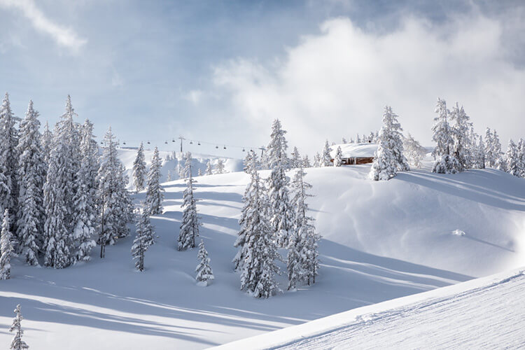 Idyllische Winterlandschaft mit schneebedeckten Tannen und einer Skiliftanlage im Hintergrund in der Nähe des Hotels Brandgut im Salzburger Land.