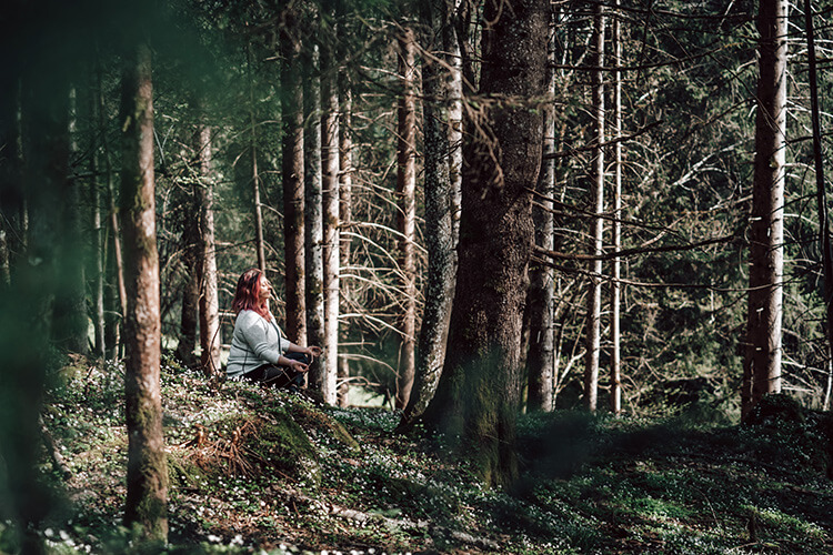 Meditation in einem ruhigen Wald, umgeben von hohen Bäumen, ein perfekter Ort für Entspannung und Rückzug in der Nähe des Hotel Brandgut in Viehhofen.